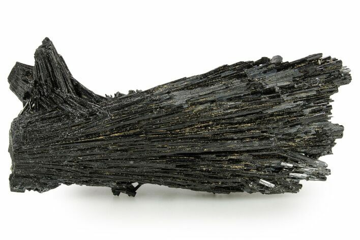 Black Tourmaline (Schorl) Crystal Cluster - Namibia #363667
